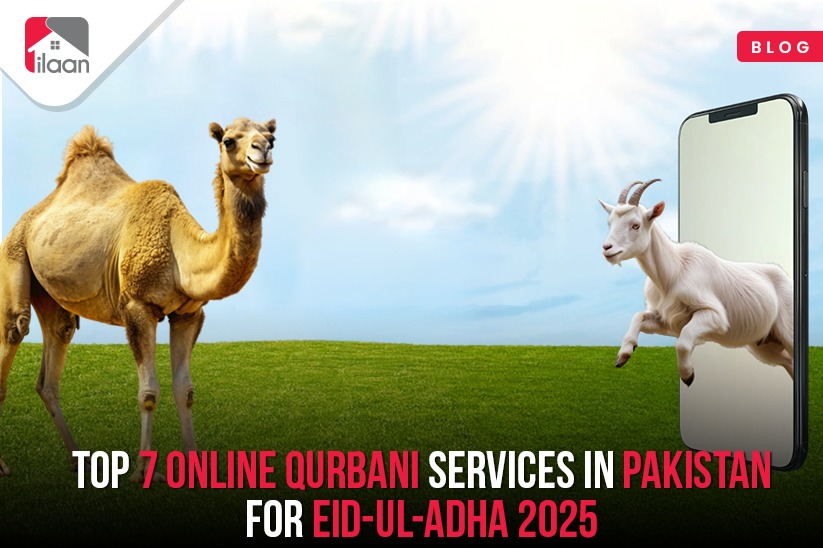 Top 7 Online Qurbani Services in Pakistan for Eid-ul-Adha 2025