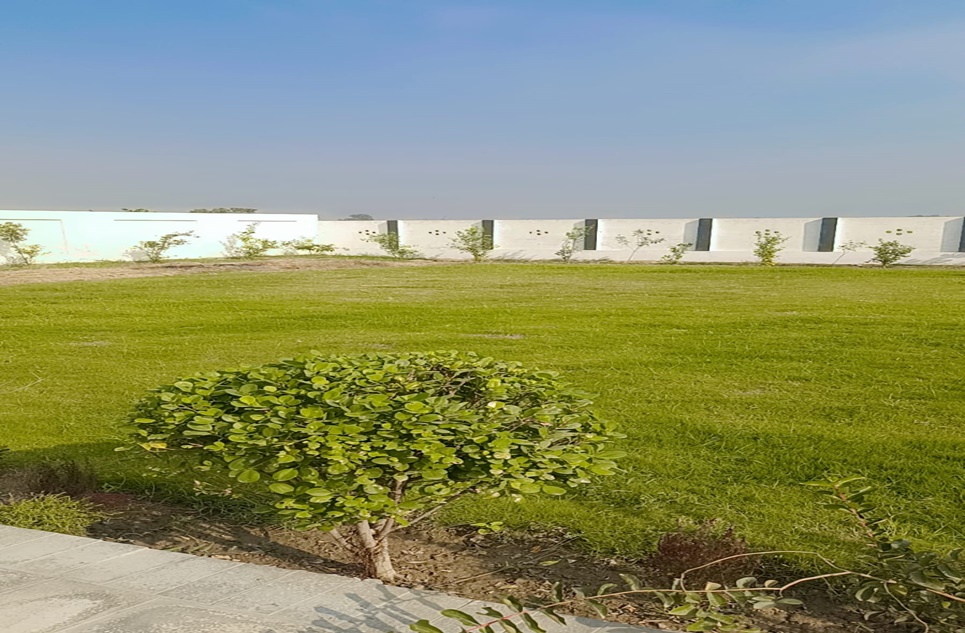 3 Kanal Farmhouse for Sale on Bedian Road, Lahore