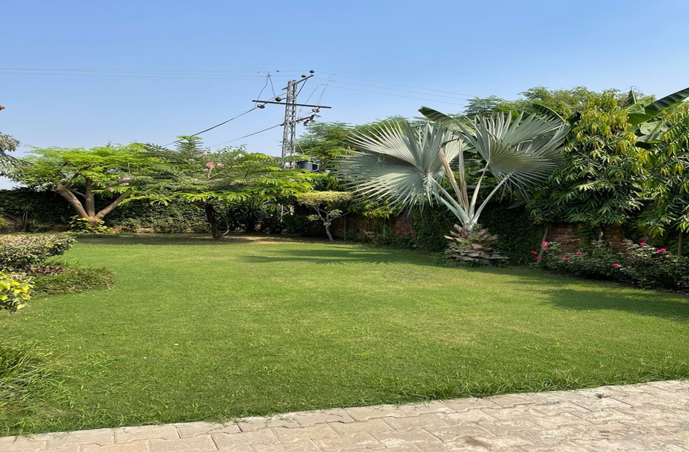 3.5 Kanal Farm House for Sale in Lahore Orchard, Bedian Road, Lahore