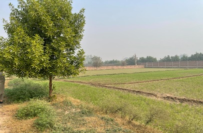 8 Kanal Plot for Sale on Bedian Road, Lahore