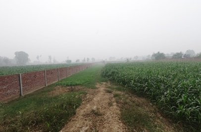 Prime Commercial & Residential Land for Sale on Main Bedian Road, Lahore