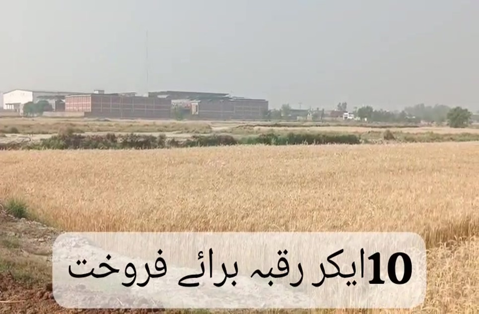80 kanal commercial farming for sale in Bahria Orchard Lahore