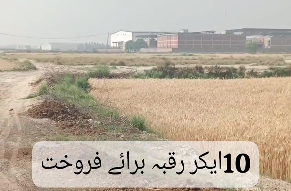 80 kanal commercial farming for sale in Bahria Orchard Lahore