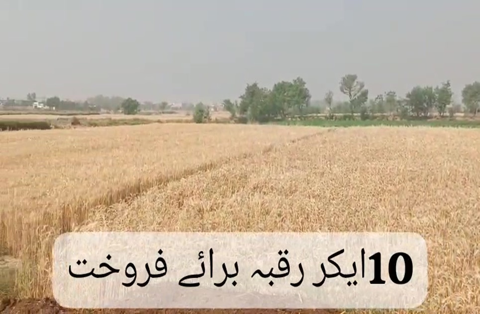 80 kanal commercial farming for sale in Bahria Orchard Lahore