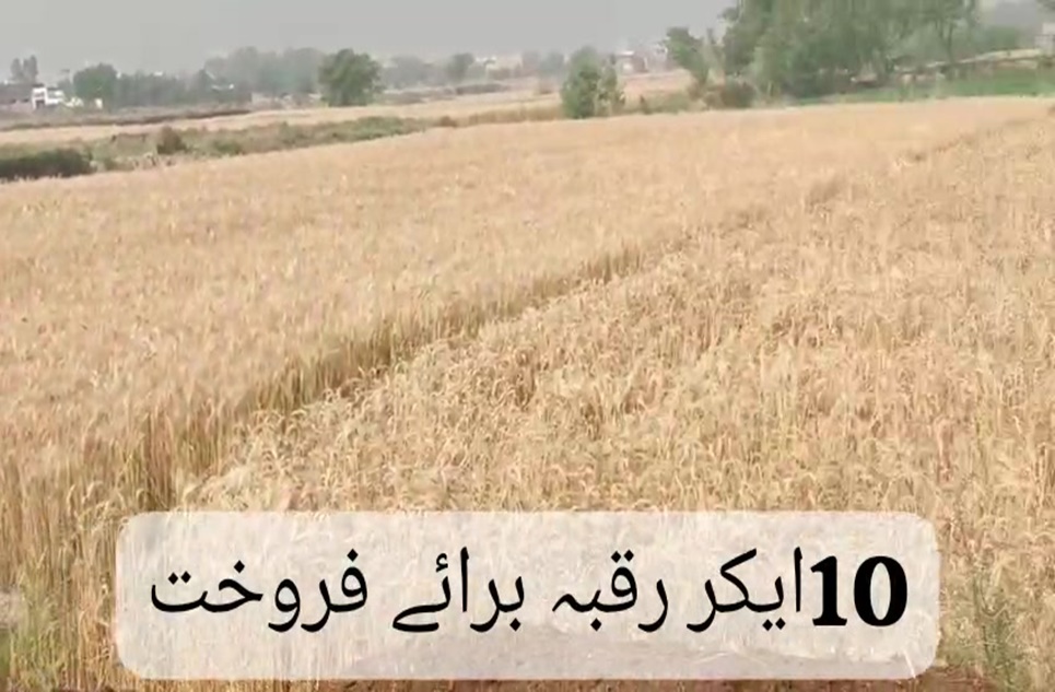 80 kanal commercial farming for sale in Bahria Orchard Lahore