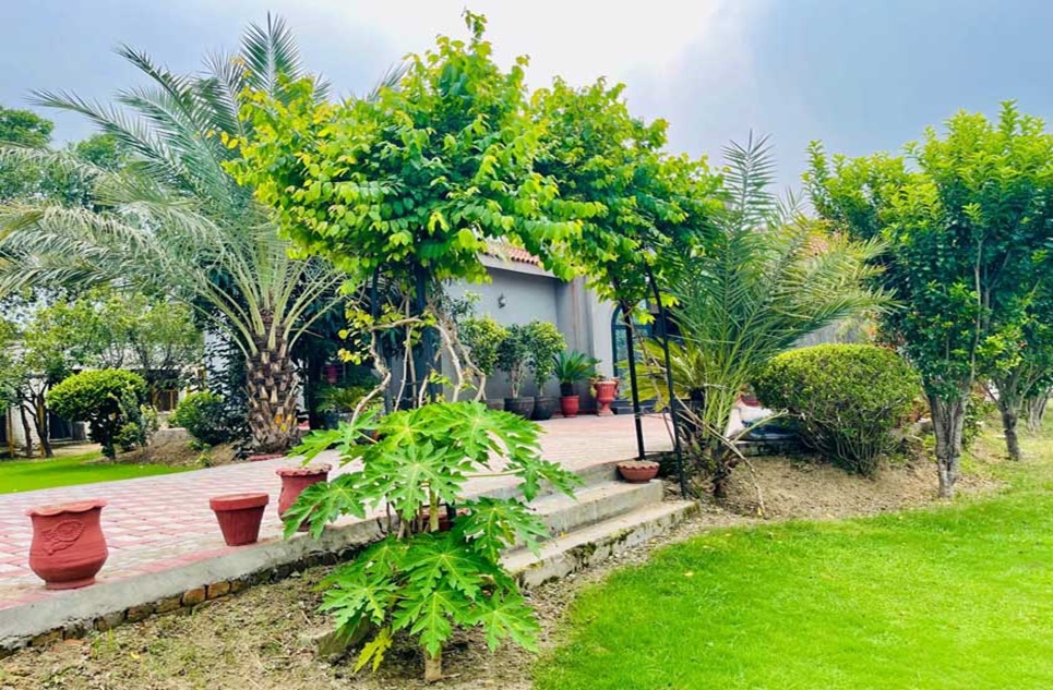 9 kanal farm for sale in Bedian Road Lahore