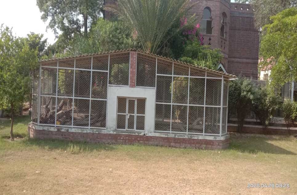 12 kanal farm for sale in Bedian Road Lahore