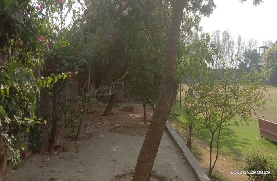 12 kanal farm for sale in Bedian Road Lahore