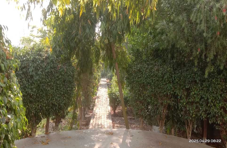 12 kanal farm for sale in Bedian Road Lahore