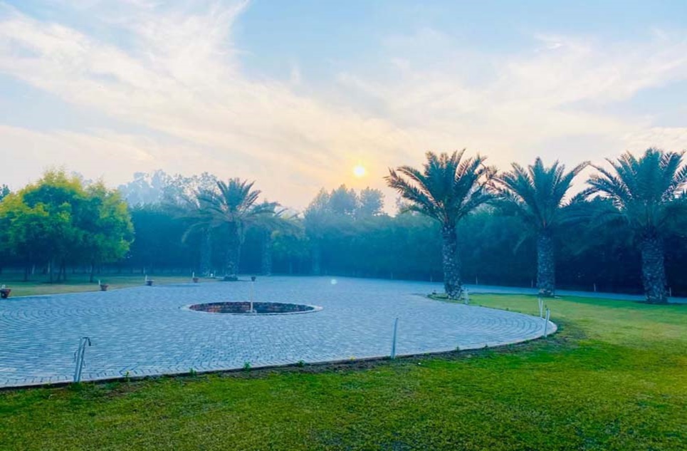 16 kanal farm for sale in Thethar Lahore